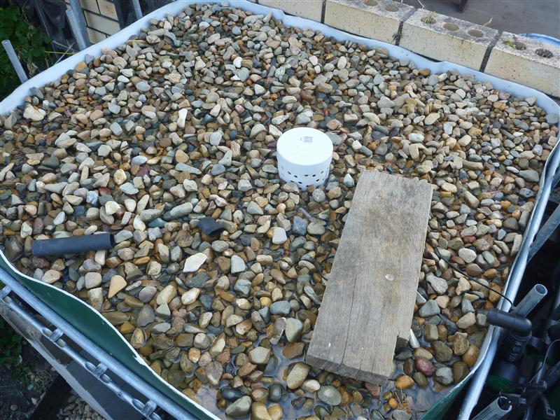 P1060338 (Custom).JPG