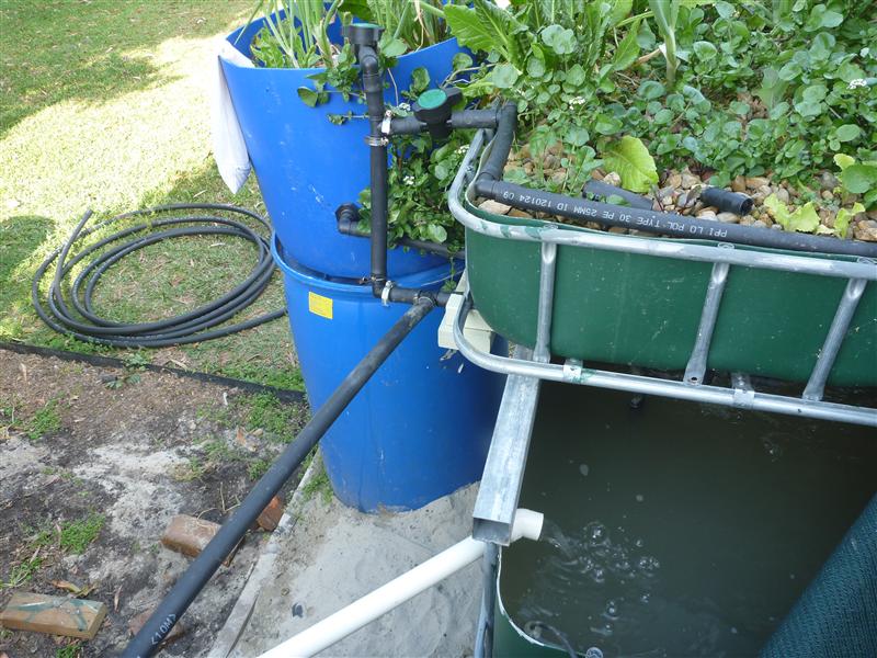 P1060340 (Custom).JPG