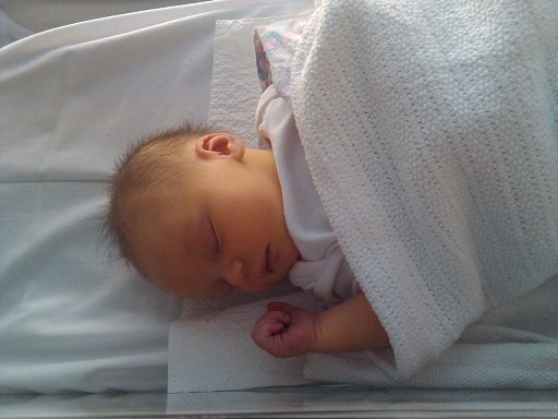 2012-09-16 12.37.35.jpg