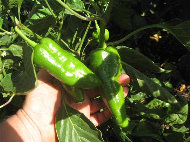 TODAY IS THE DAY 006 (Small).JPG