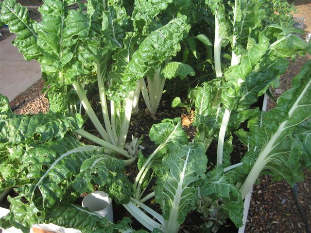 TODAY IS THE DAY 005 (Small).JPG