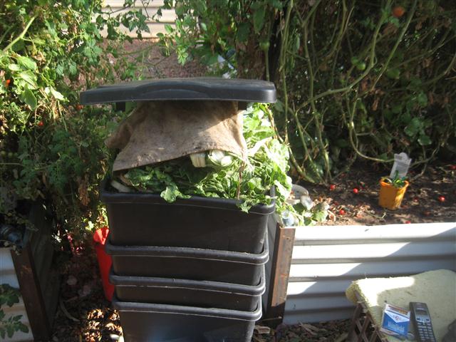 TODAY IS THE DAY 004 (Small).JPG