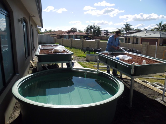 SAM_0111 (Small).JPG