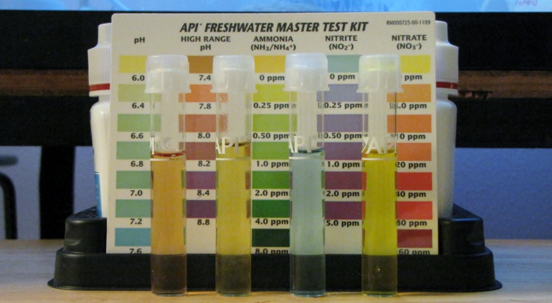 IMG_0152 (800x439).jpg