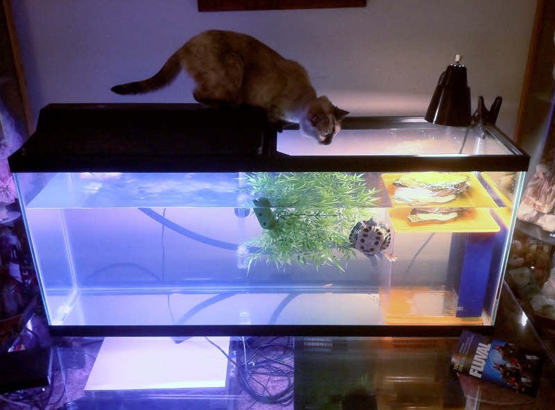 IMG_1618 (800x591).jpg