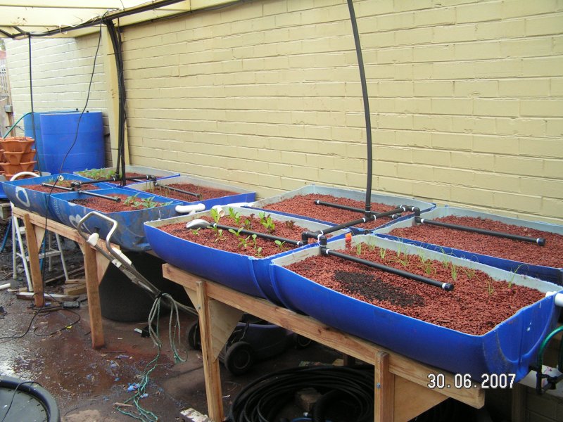 GrowBeds_20070630.JPG