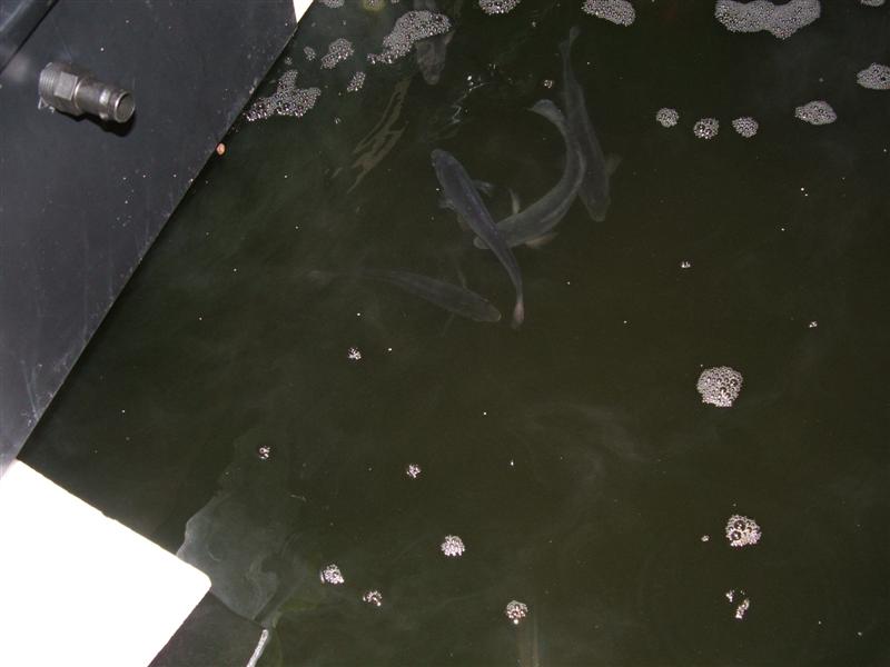 DSCF2582 (Medium).JPG