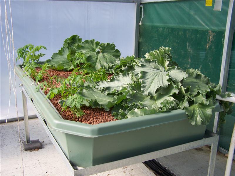 100_7270 (Custom).JPG