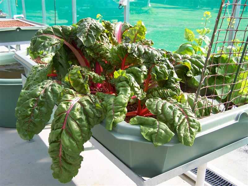 100_7277 (Custom).JPG