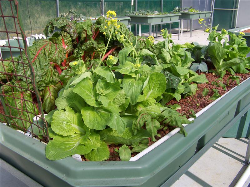 100_7272 (Custom).JPG