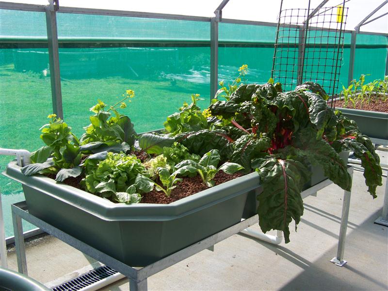 100_7268 (Custom).JPG