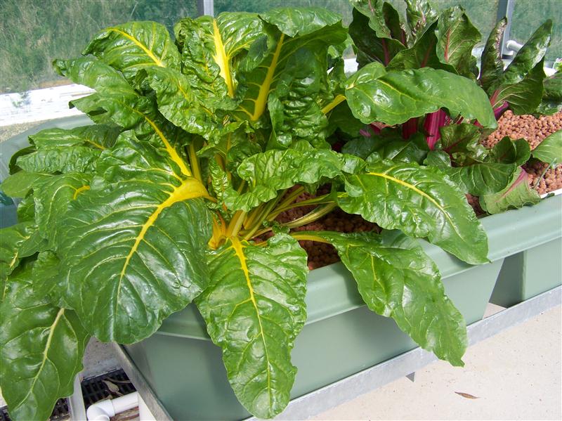 100_7273 (Custom).JPG