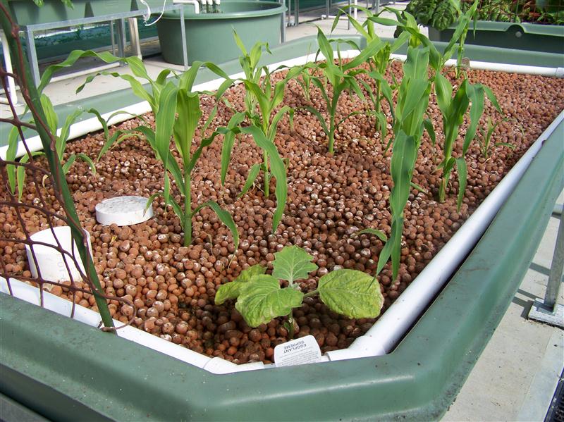 100_7271 (Custom).JPG