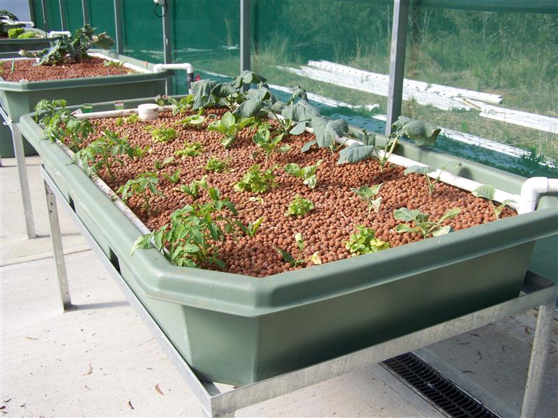 100_7266 (Custom).JPG