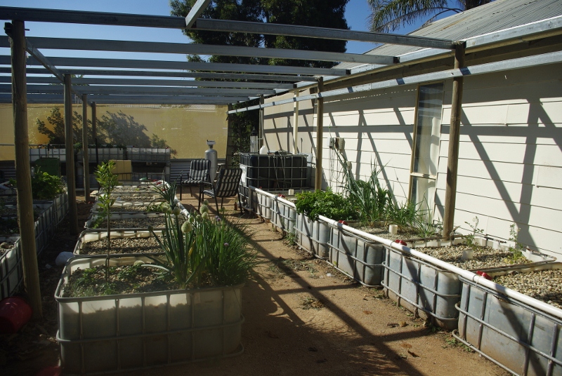 _IGP3298 (800x536).jpg