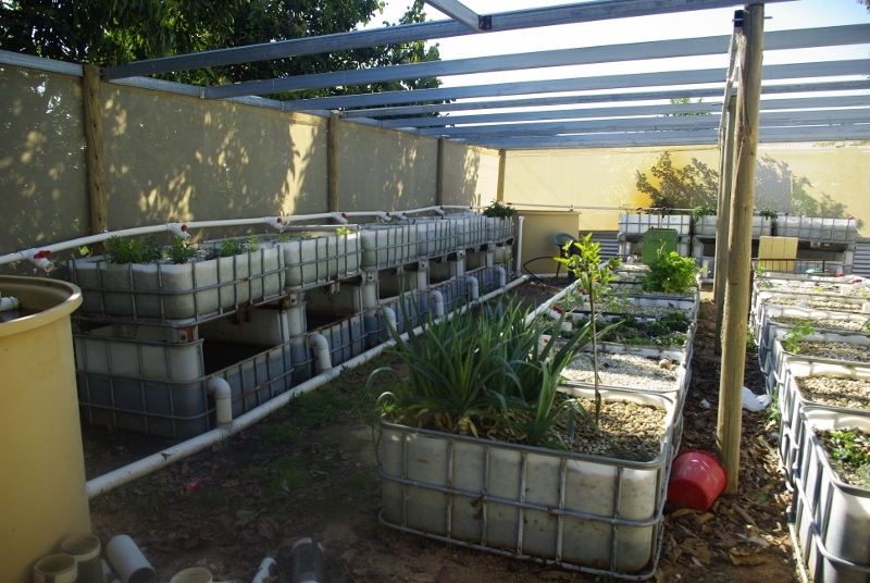 _IGP3299 (800x536).jpg