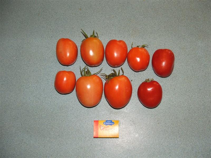 DSCF4087 (Medium).JPG