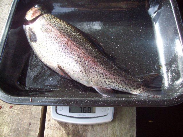 biggest today 25.09.2012.jpg