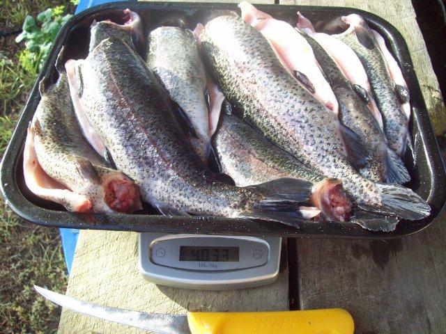 trouts 25.09.2012.jpg