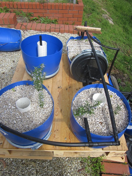 out with the old.jpg