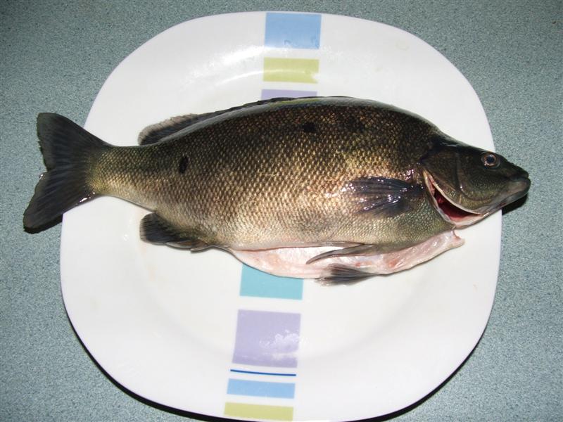 DSCF4064 (Medium).JPG