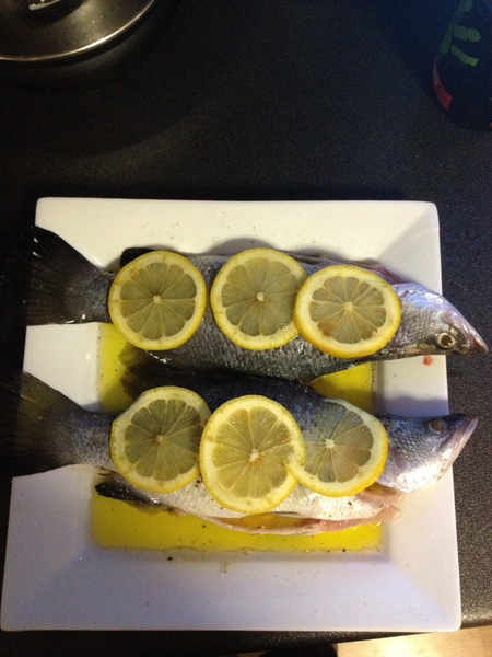 barra dinner-001.JPG