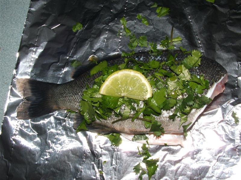 DSCF4068 (Medium).JPG