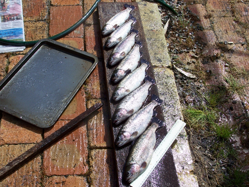 100_0854 (800x600).jpg