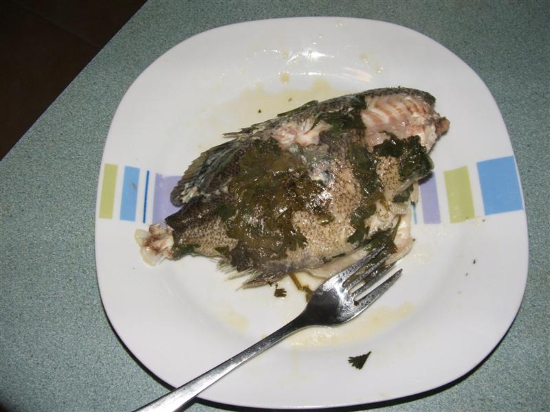 DSCF4072 (Medium).JPG