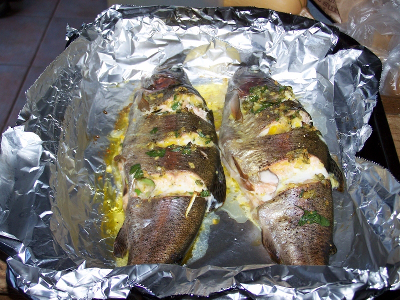 100_0860 (800x600).jpg