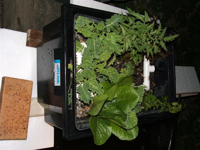 DSCF2570 (Medium).JPG