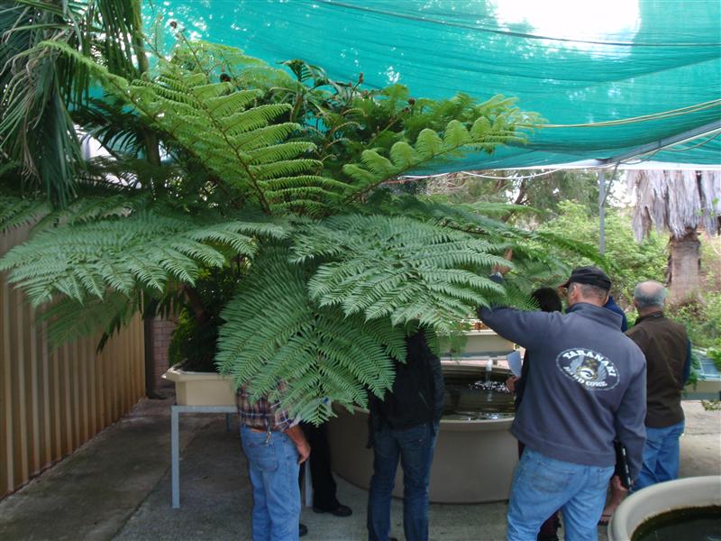 P9220038 (Custom).JPG