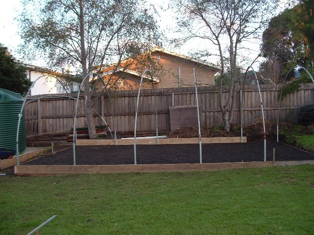 greenhouse 1-7-2007 007 resized.jpg