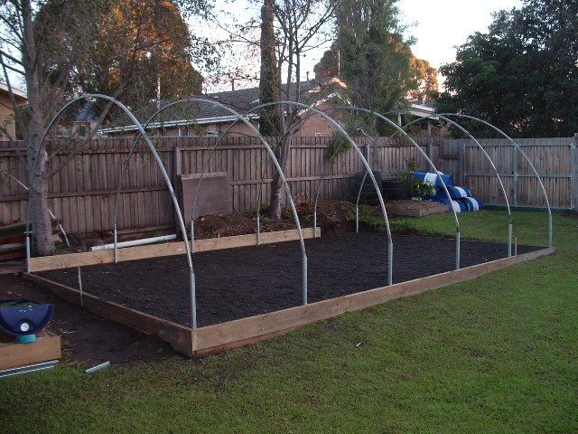 greenhouse 1-7-2007 003 resized.jpg