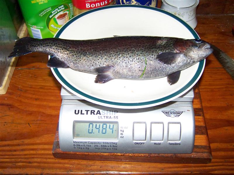 100_7288 (Custom).JPG