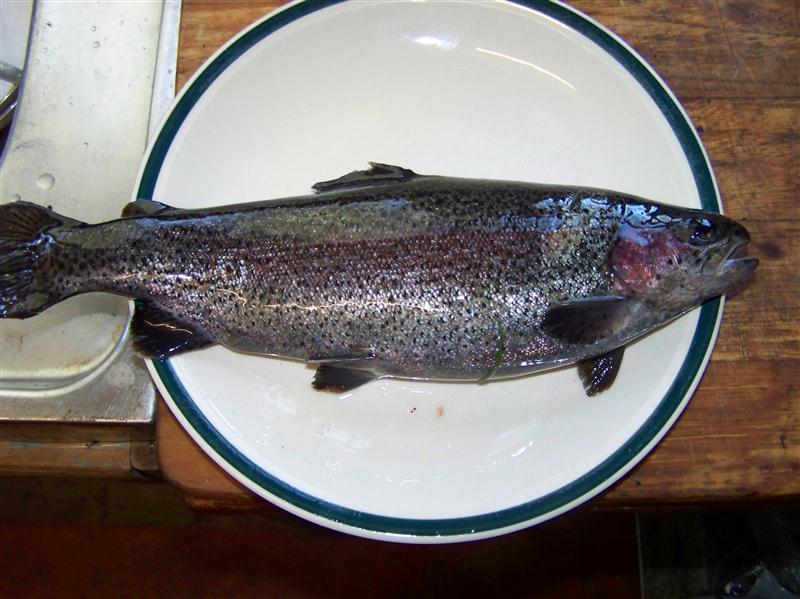 100_7290 (Custom).JPG