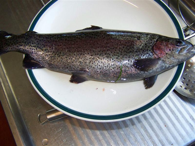 100_7291 (Custom).JPG