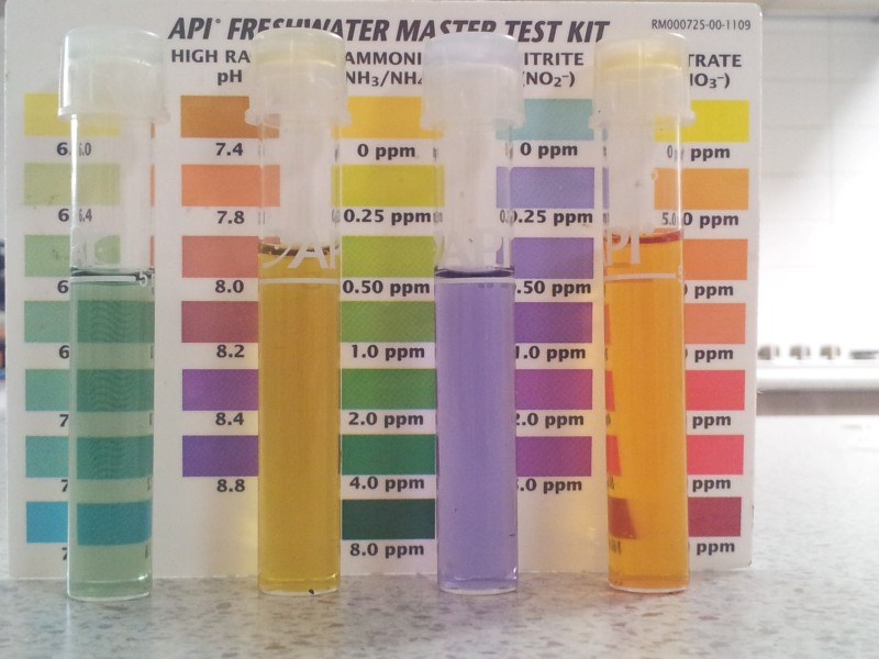 20121002_105016 (Custom).jpg