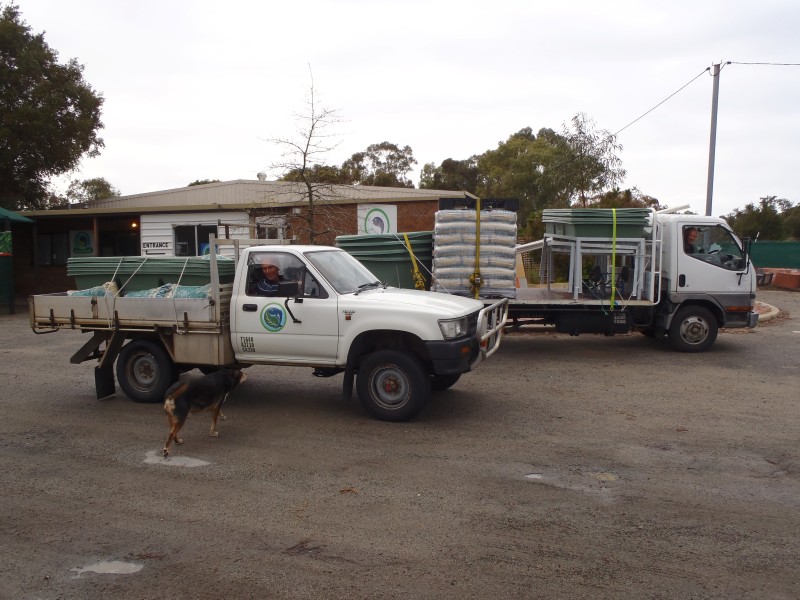 P1010080 (Custom).JPG