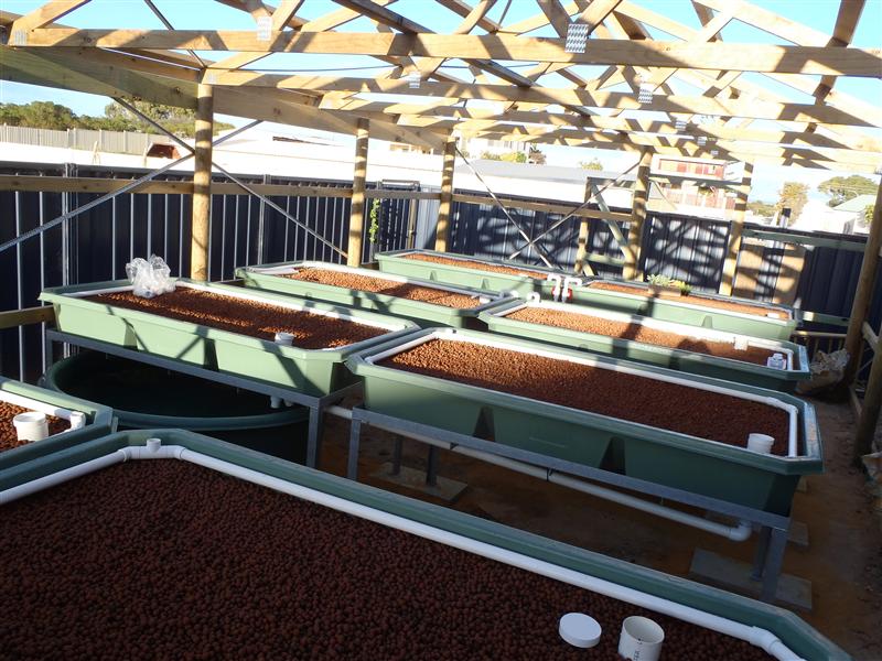 PA040024 (Custom).JPG