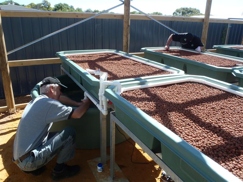 PA050046 (Custom).JPG