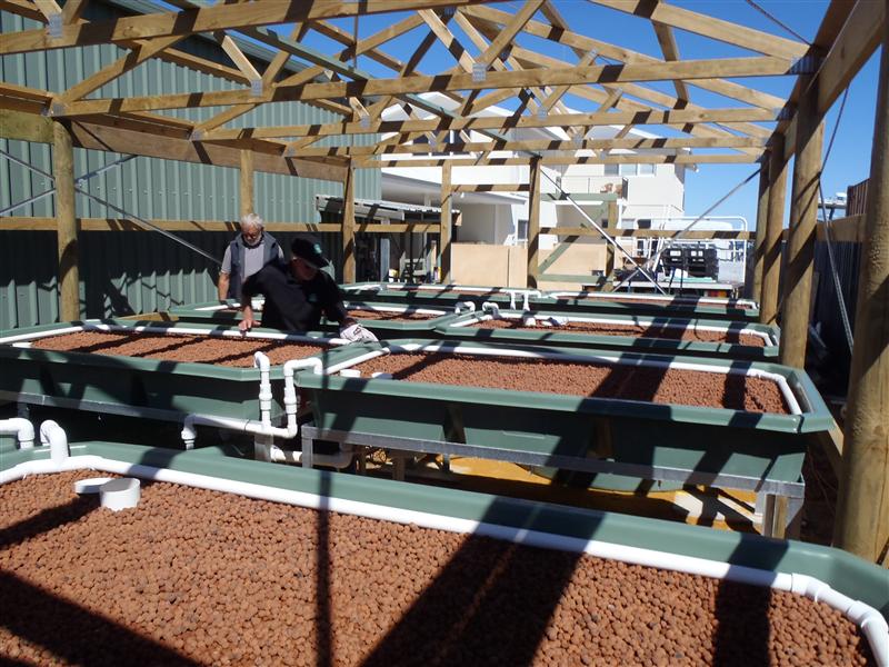 PA050047 (Custom).JPG