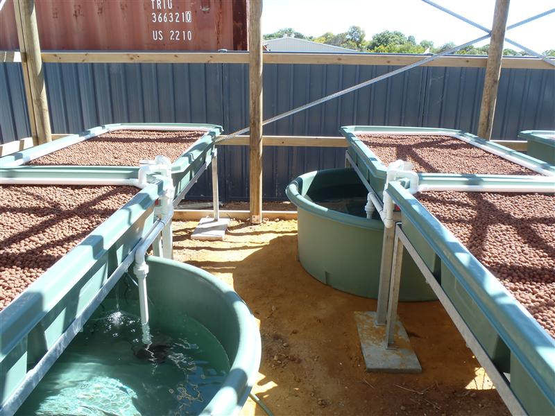 PA050051 (Custom).JPG