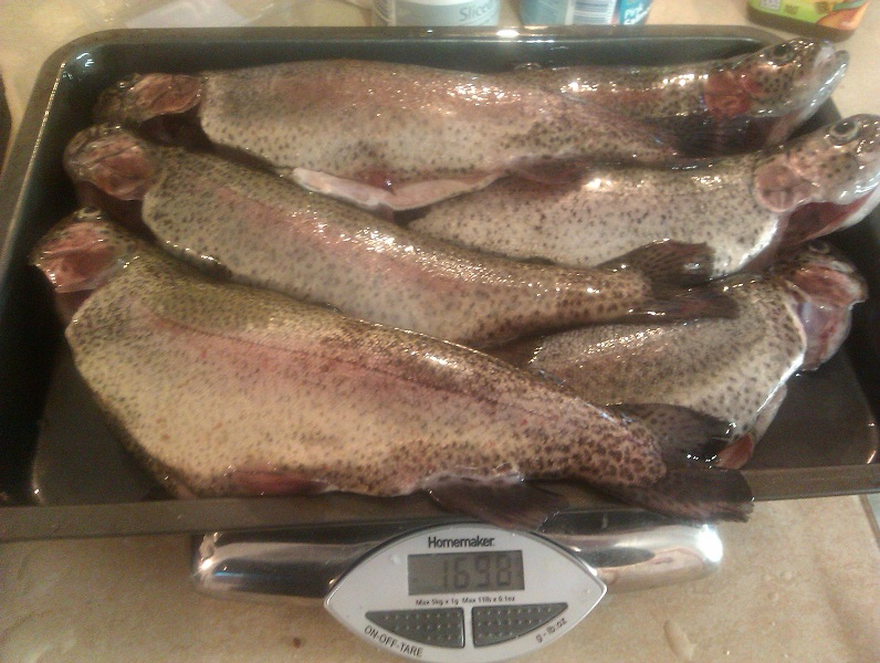 2012-10-08 17.52.06s.jpg