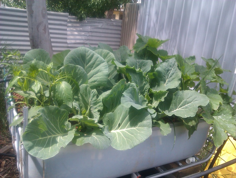 2012-10-08 12.48.30s.jpg