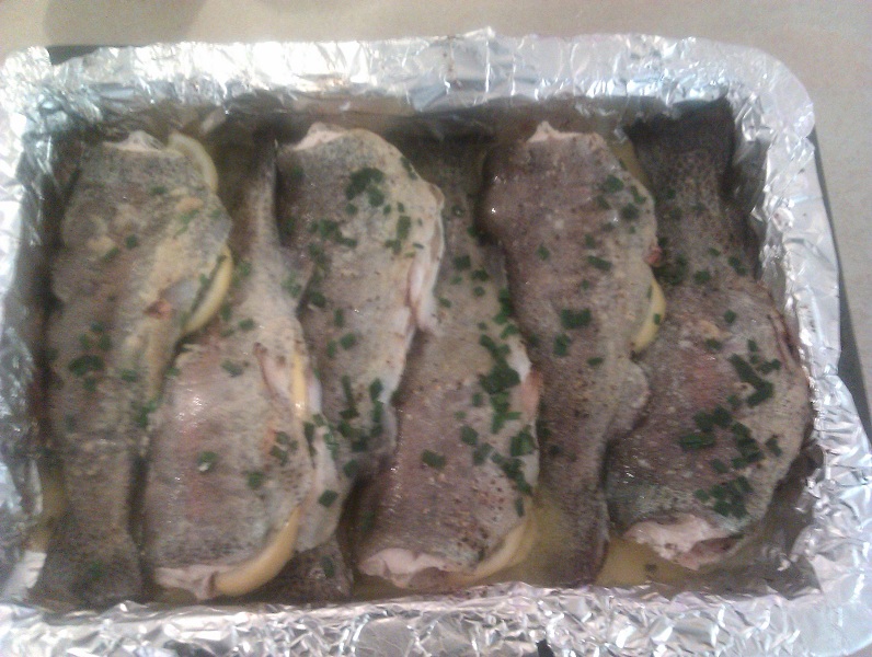 2012-10-08 19.02.52s.jpg