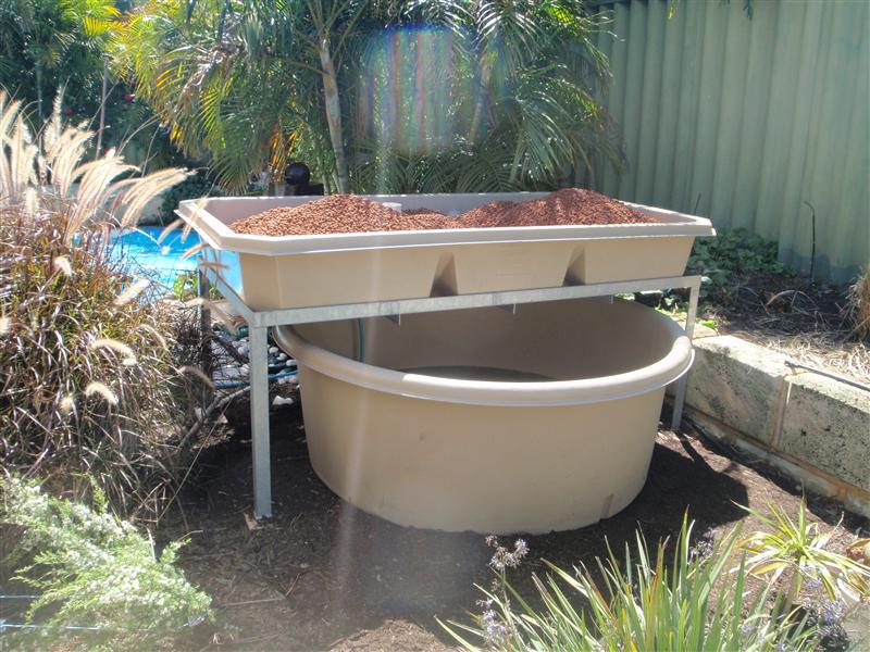 P9190231 (Custom).JPG