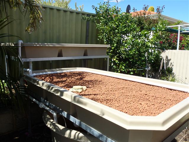 P1010010 (Small).JPG