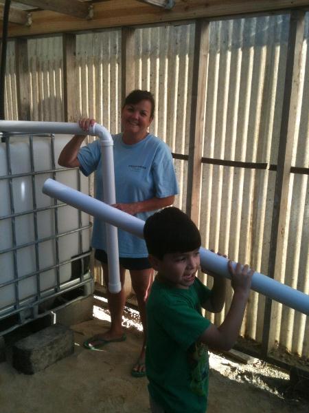 Helper #1 and lil helper #2.jpg