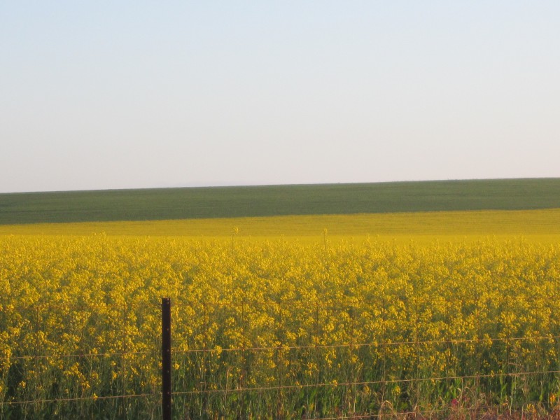 image2 (Custom).jpeg